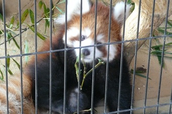 鯖江3.jpg