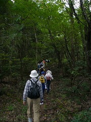 山2.jpg