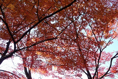 西山3.jpg