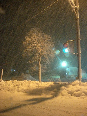 雪3.jpg