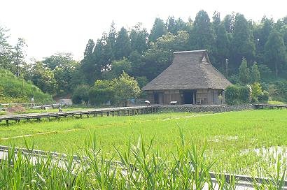 中池見4.jpg