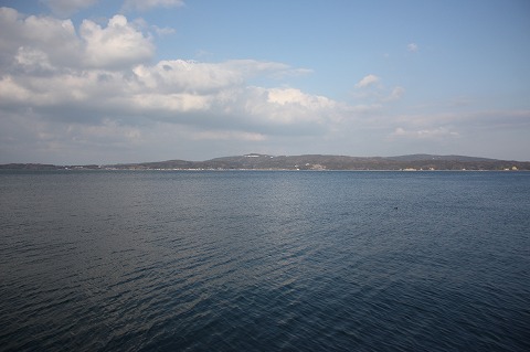 IMG_2977.jpg