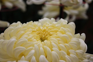 IMG_3188.jpg