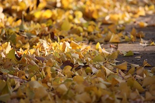IMG_3625.jpg