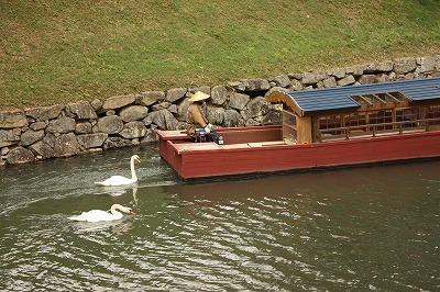 IMG_4224.jpg