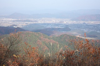 IMG_4466.jpg