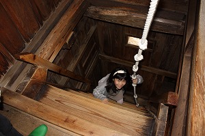 IMG_6297.jpg