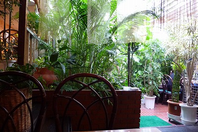P1060001.jpg