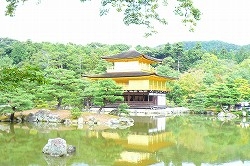 P1100451.jpg