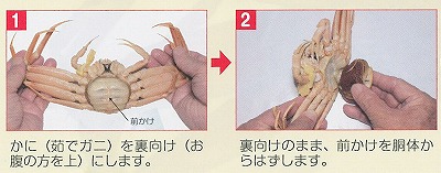 s-1-2.jpg