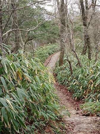 s-11851.jpg