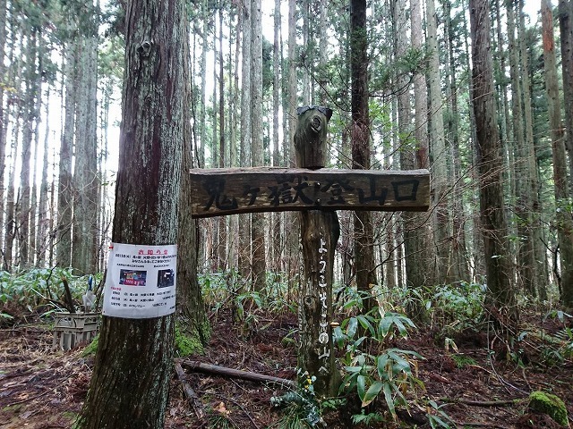 s-11852.jpg