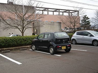 s-12354.jpg