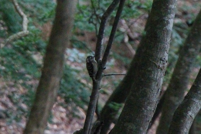 s-201307ryouzen.jpg