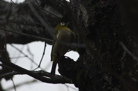 s-201312asuwayama.jpg