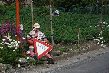 s-DSCF6945.jpg