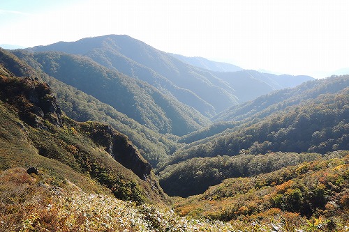 s-DSCN0425.jpg