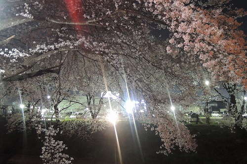 s-DSCN5436.jpg