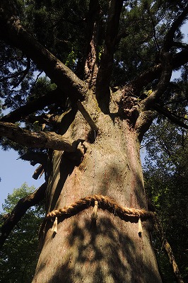 s-DSCN7583.jpg