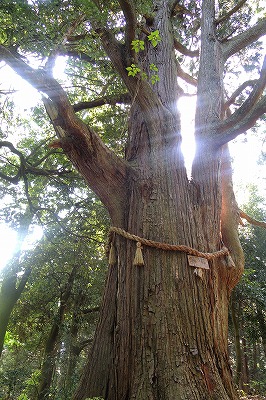 s-DSCN7594.jpg