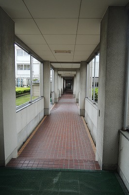 s-DSCN8146.jpg