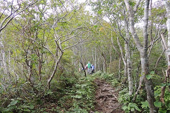 s-DSCN9848.jpg