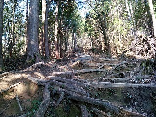 s-DSC_0169.jpg