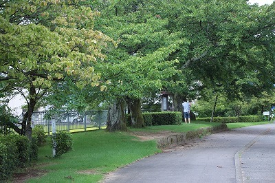 s-IMG_0028.jpg