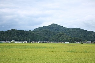 s-IMG_0035.jpg