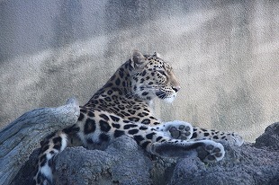 s-IMG_0055.jpg