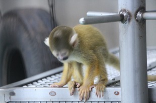 s-IMG_0076.jpg