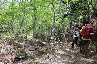 s-IMG_0117.jpg