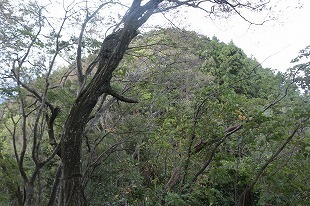 s-IMG_0168.jpg