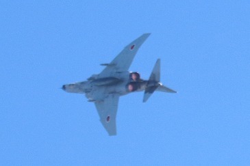 s-IMG_0215.jpg