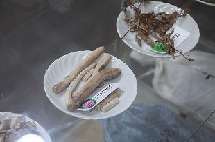 s-IMG_0250.jpg