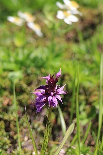 s-IMG_0282.jpg