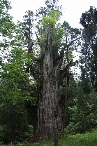 s-IMG_0354.jpg