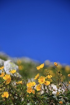 s-IMG_0378.jpg