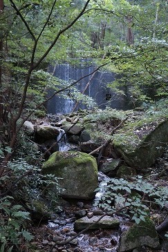 s-IMG_0442.jpg
