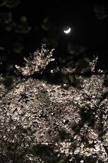 s-IMG_0506.jpg