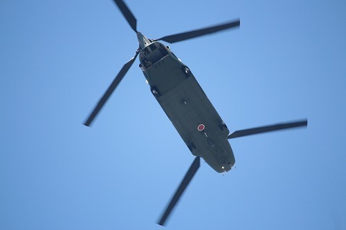 s-IMG_0832.jpg