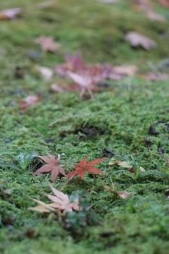s-IMG_0837.jpg