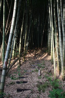 s-IMG_0848.jpg