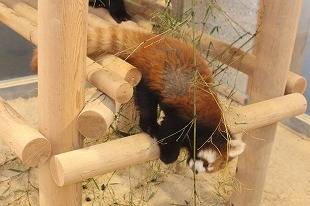 s-IMG_0850.jpg
