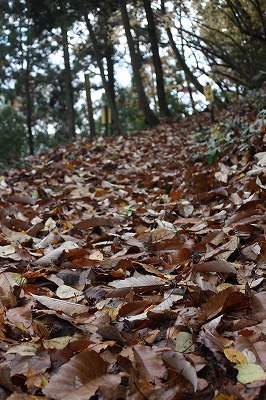 s-IMG_1026.jpg