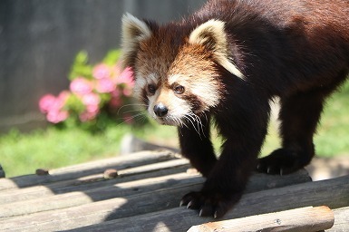 s-IMG_1047.jpg