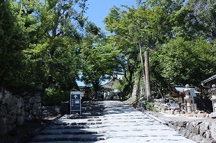 s-IMG_1066.jpg