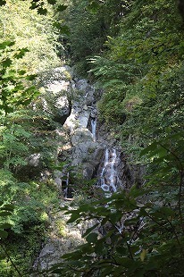 s-IMG_1121.jpg