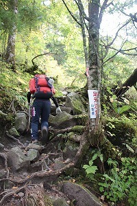 s-IMG_1179.jpg