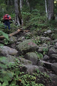 s-IMG_1202.jpg